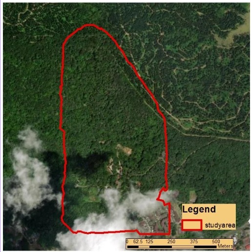 Study area selection